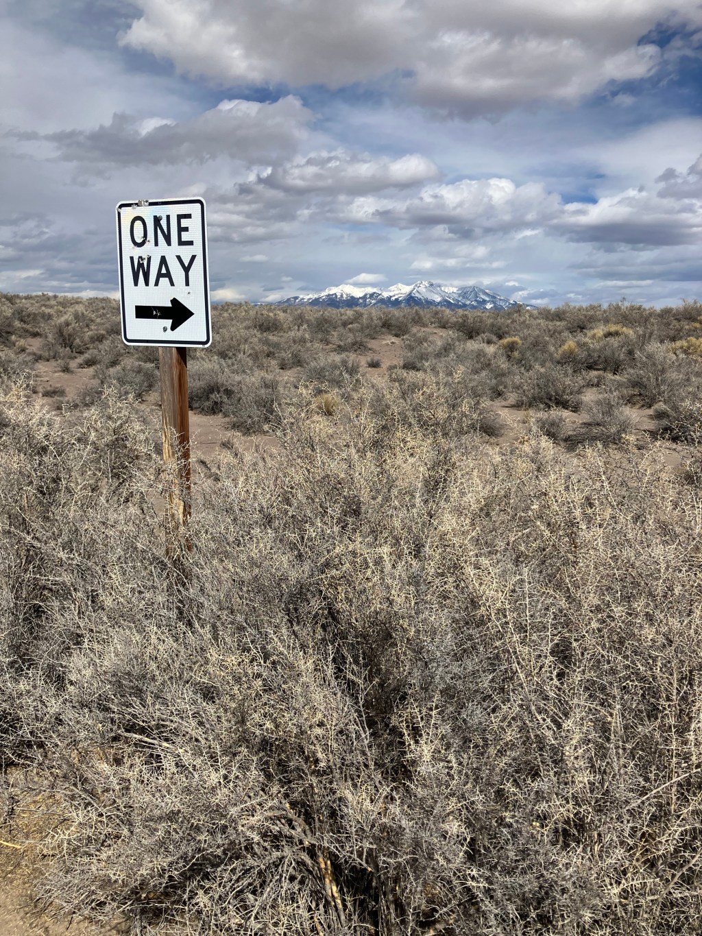 Metacommentary in the Creative Writing&nbsp;Workshop